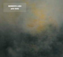 norberto_lobo_pata_lenta