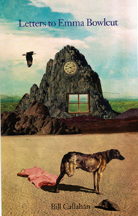 bill callahan book