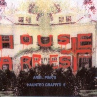 Ariel-Pink-s-Haunted-Graffiti-House-Arrest-1