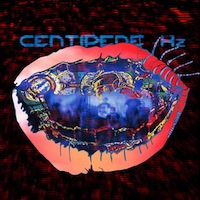 ANIMAL COLLECTIVE centipede
